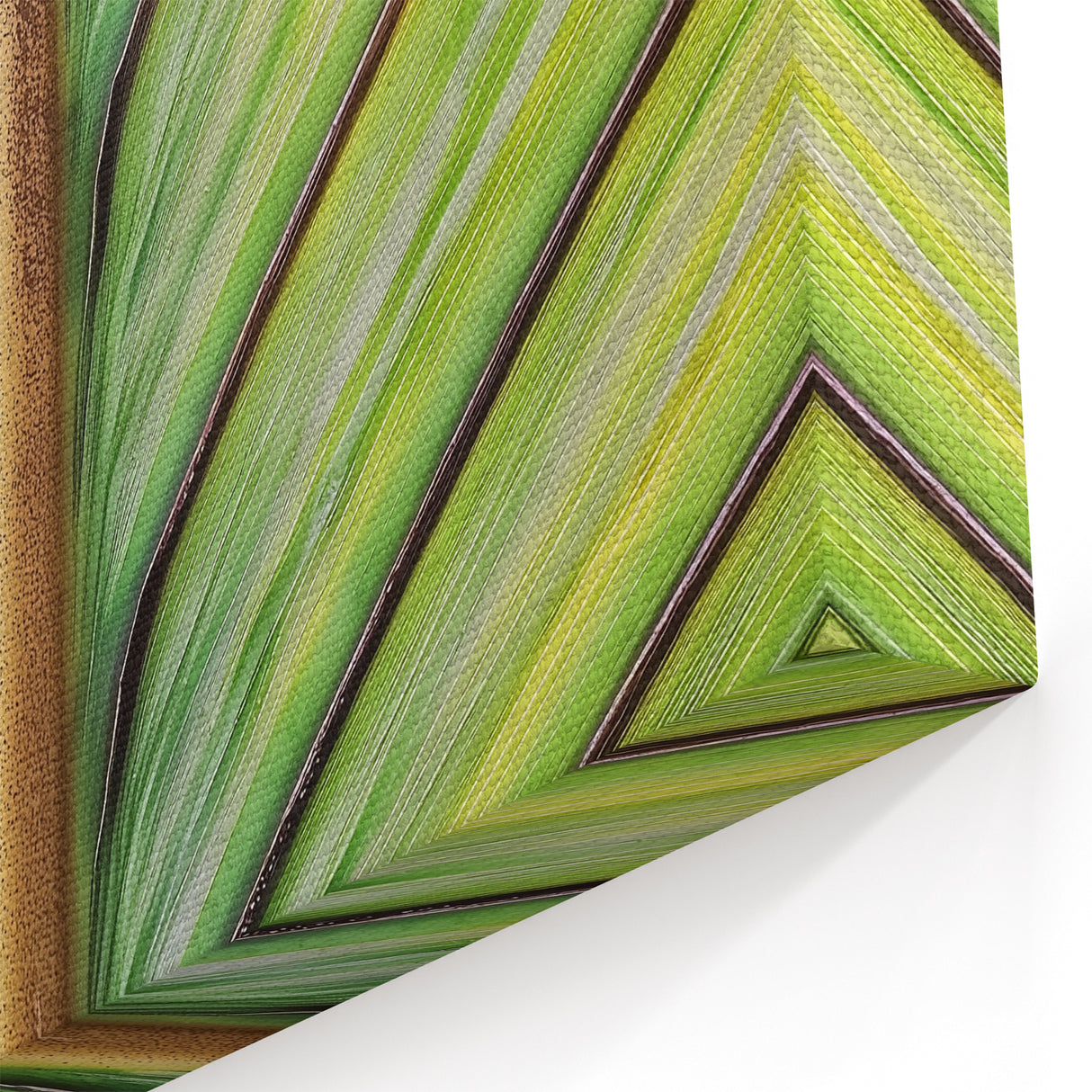 Nature Inspired Wall Art - Botanical Close-Up of Green Leaf Print