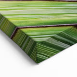 Nature Inspired Wall Art - Botanical Close-Up of Green Leaf Print