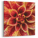 Blooming Flowers Artwork - Nature Close-Up of Vibrant Dahlia Print