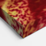 Blooming Flowers Artwork - Nature Close-Up of Vibrant Dahlia Print