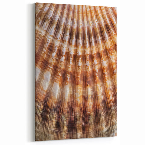 Nature Inspired Wall Art - Close-Up Shell Texture Botanical Print