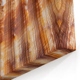 Nature Inspired Wall Art - Close-Up Shell Texture Botanical Print
