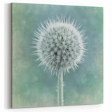 Floral Photography Prints - Nature Close-Up of Textured Thistle Art