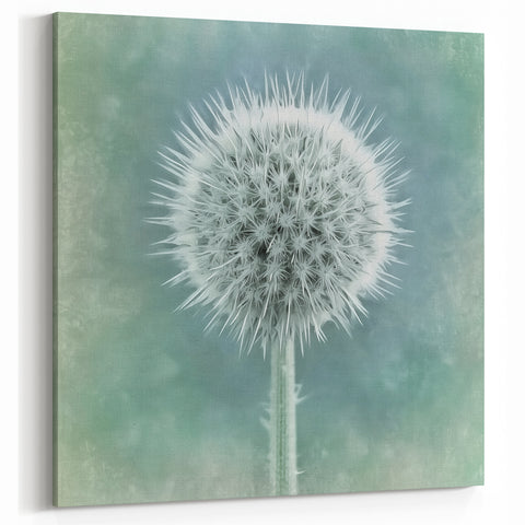Floral Photography Prints - Nature Close-Up of Textured Thistle Art