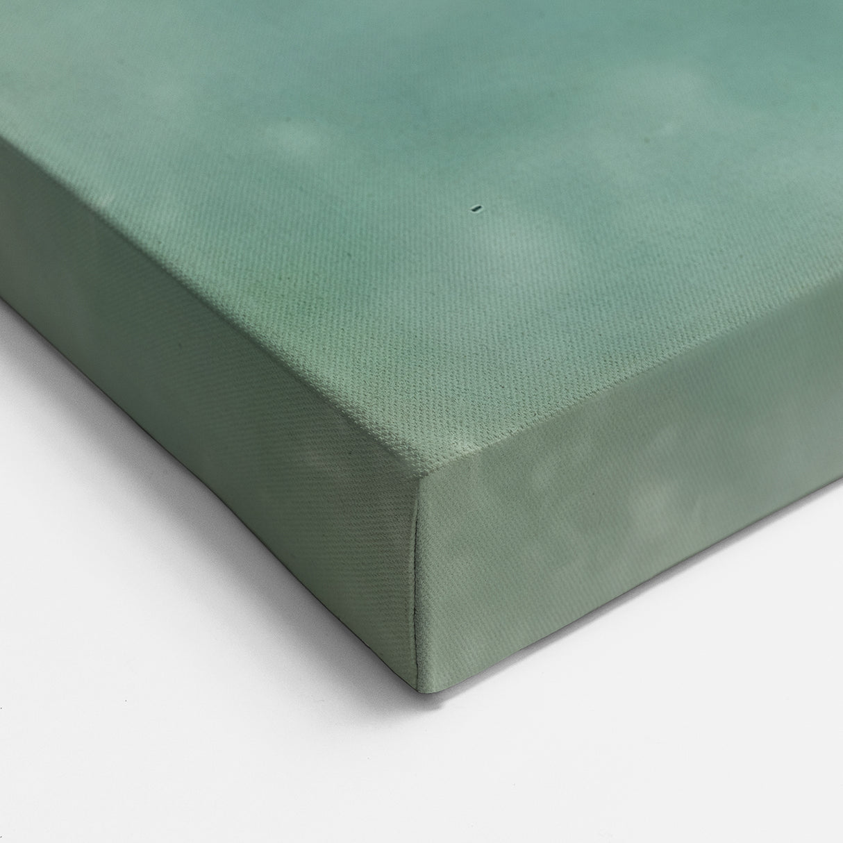 Floral Photography Prints - Nature Close-Up of Textured Thistle Art