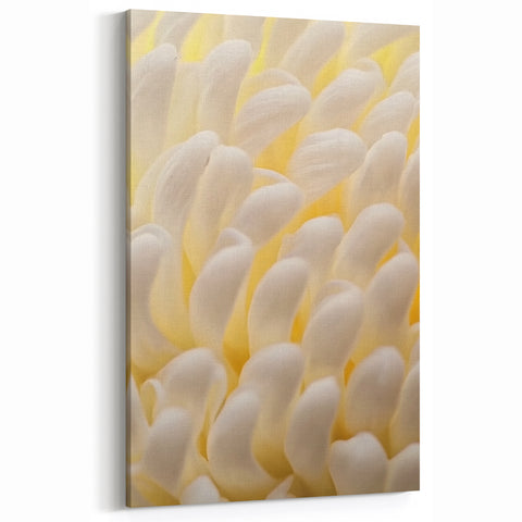 Floral Wall Art - Nature Close-Up of Cream and Soft Yellow Petals