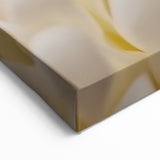 Floral Wall Art - Nature Close-Up of Cream and Soft Yellow Petals