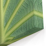 Nature Close-Up Prints - Botanical Wall Art of Vibrant Green Leaf