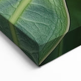 Nature Close-Up Prints - Botanical Wall Art of Vibrant Green Leaf