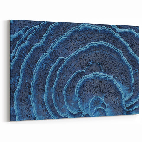 Floral Photography Prints - Textured Close-Up of Vibrant Blue Coral