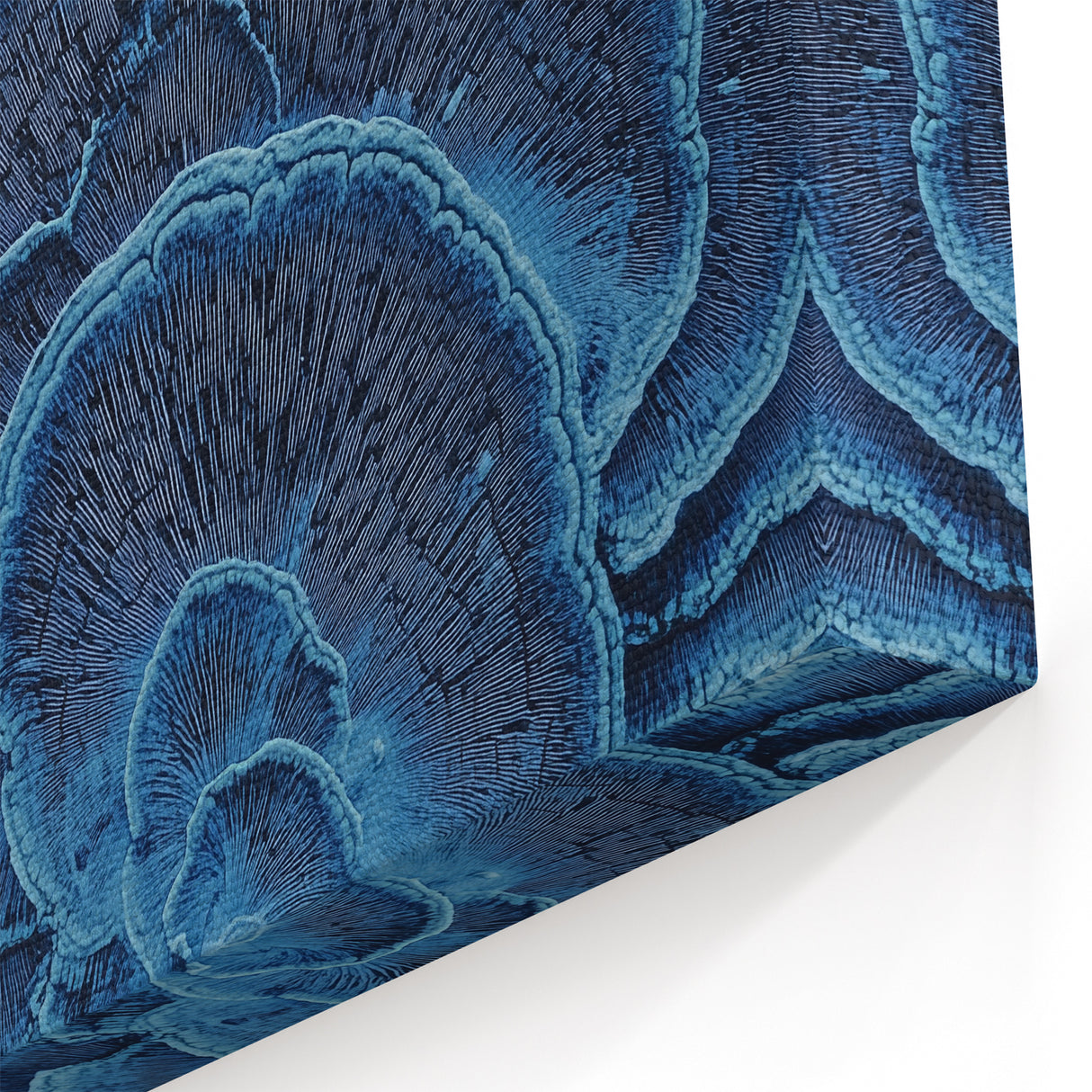 Floral Photography Prints - Textured Close-Up of Vibrant Blue Coral