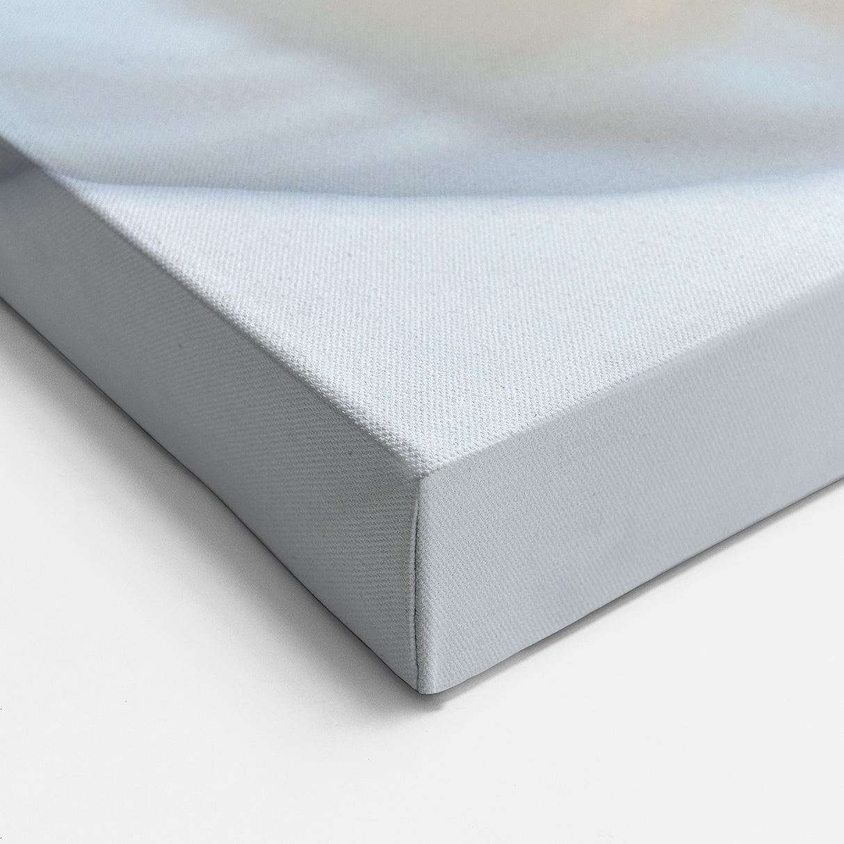 Floral Wall Art - Nature Close-Up of Elegant White Tulip Petals