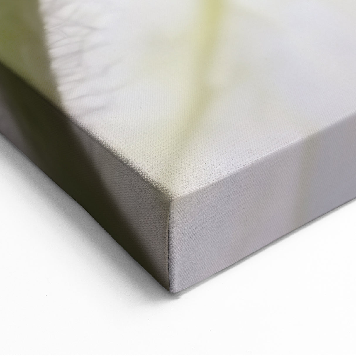 Nature Close-Up Prints - Elegant Underside of White Flower Petals