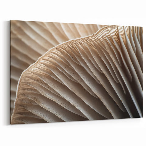 Botanical Wall Art - Textured Close-Up of Beige Mushroom Gills