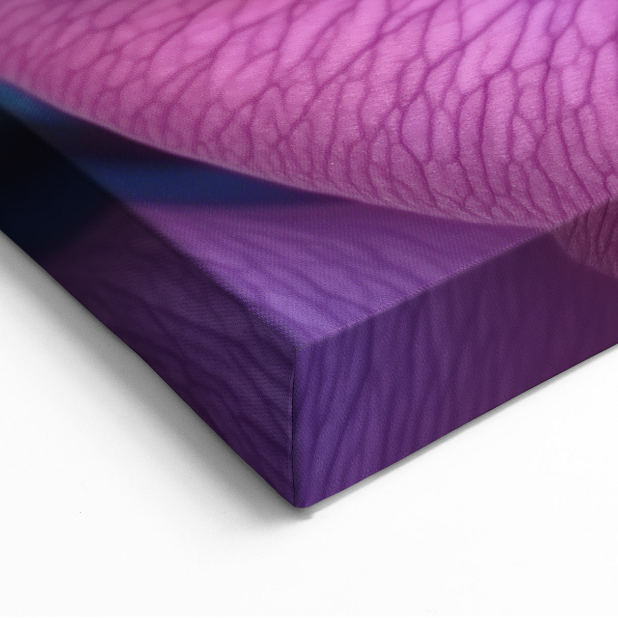 Blooming Flowers Artwork - Vibrant Close-Up of Rainbow Rose Petals