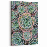 Nature Inspired Wall Art - Close-Up of Vibrant Green Succulent Patterns