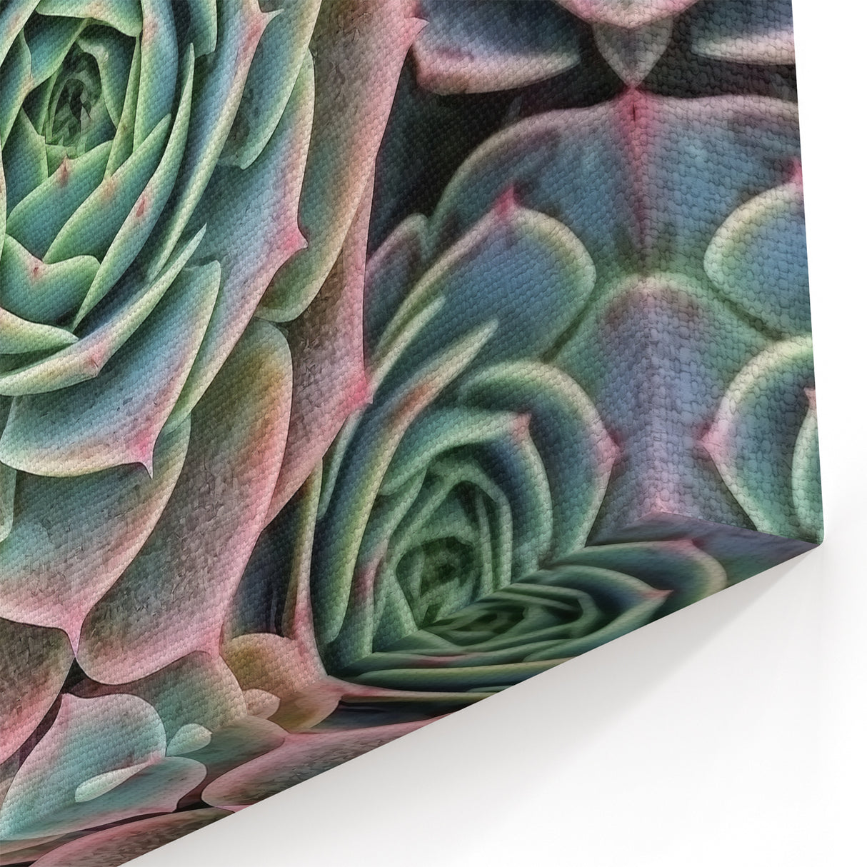 Nature Inspired Wall Art - Close-Up of Vibrant Green Succulent Patterns