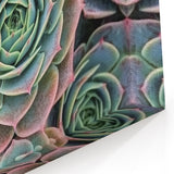 Nature Inspired Wall Art - Close-Up of Vibrant Green Succulent Patterns