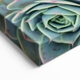 Nature Inspired Wall Art - Close-Up of Vibrant Green Succulent Patterns
