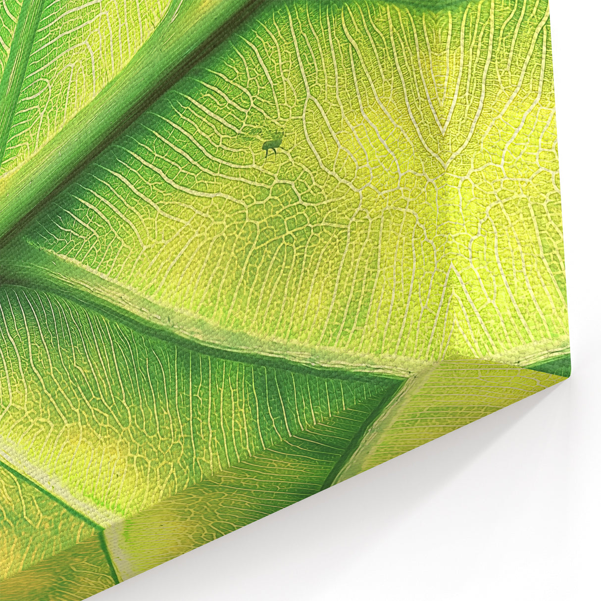 Nature Inspired Wall Art - Close-Up of Bright Green Leaf Veins