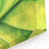 Nature Inspired Wall Art - Close-Up of Bright Green Leaf Veins