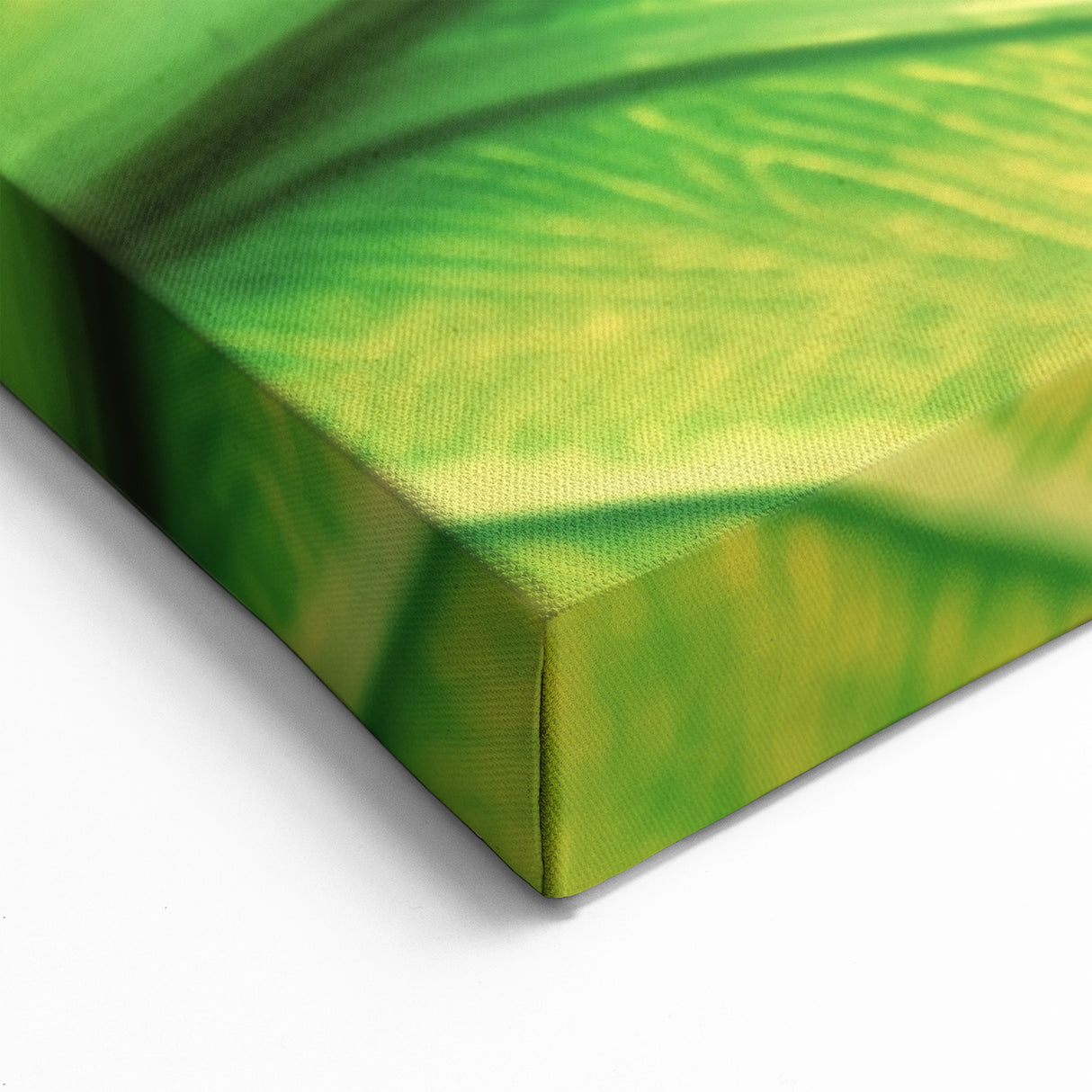 Nature Inspired Wall Art - Close-Up of Bright Green Leaf Veins