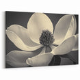 Black and White Wall Art - Close-Up of Elegant Magnolia Flower