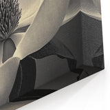 Black and White Wall Art - Close-Up of Elegant Magnolia Flower