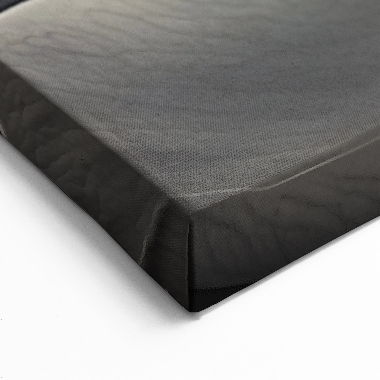 Black and White Wall Art - Close-Up of Elegant Magnolia Flower