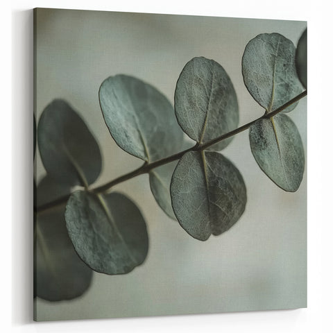 Rustic Leaf Photography Art – Nature Close-Up Wall Decor