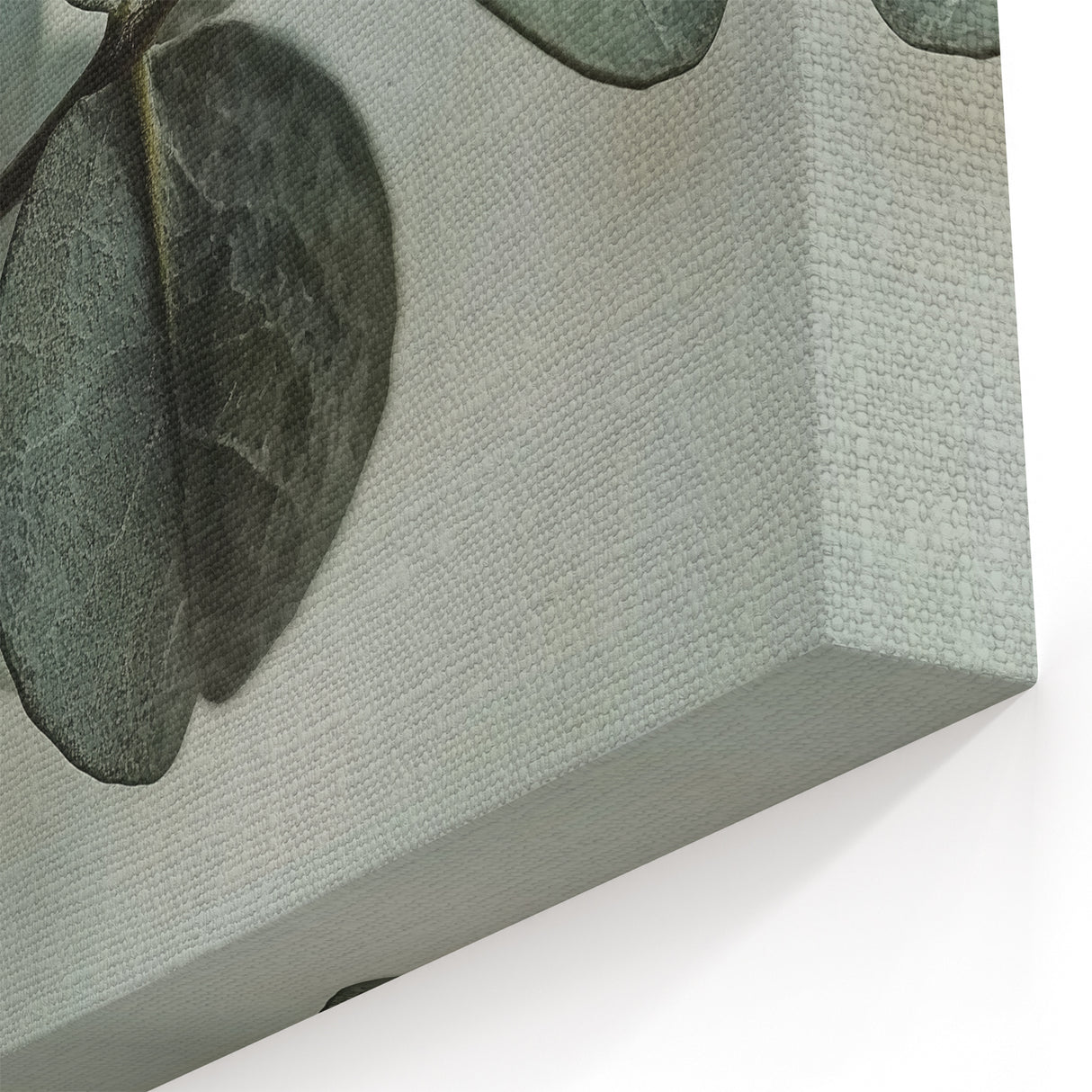 Rustic Leaf Photography Art – Nature Close-Up Wall Decor