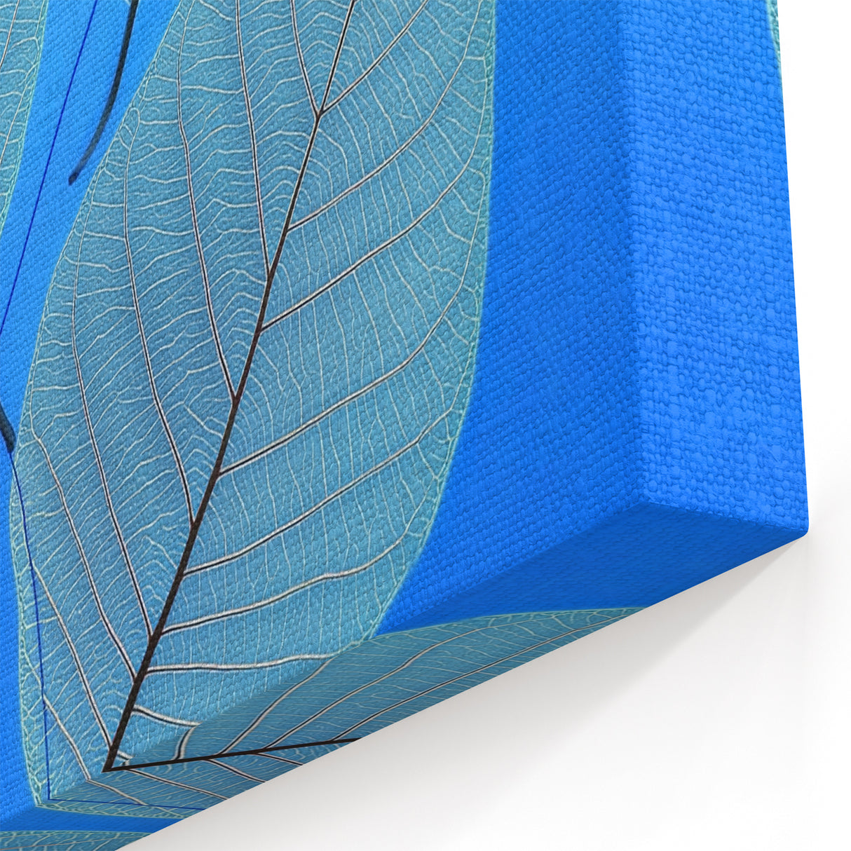 Elegant Leaf Canvas Prints – Blue and White Botanical Art