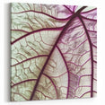 Elegant Purple Leaf Wall Art – Botanical Nature Close-Up
