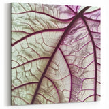 Elegant Purple Leaf Wall Art – Botanical Nature Close-Up