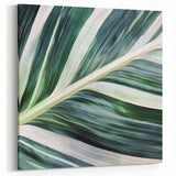 Modern Leaf Wall Art – Green and White Botanical Close-Up