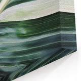 Modern Leaf Wall Art – Green and White Botanical Close-Up