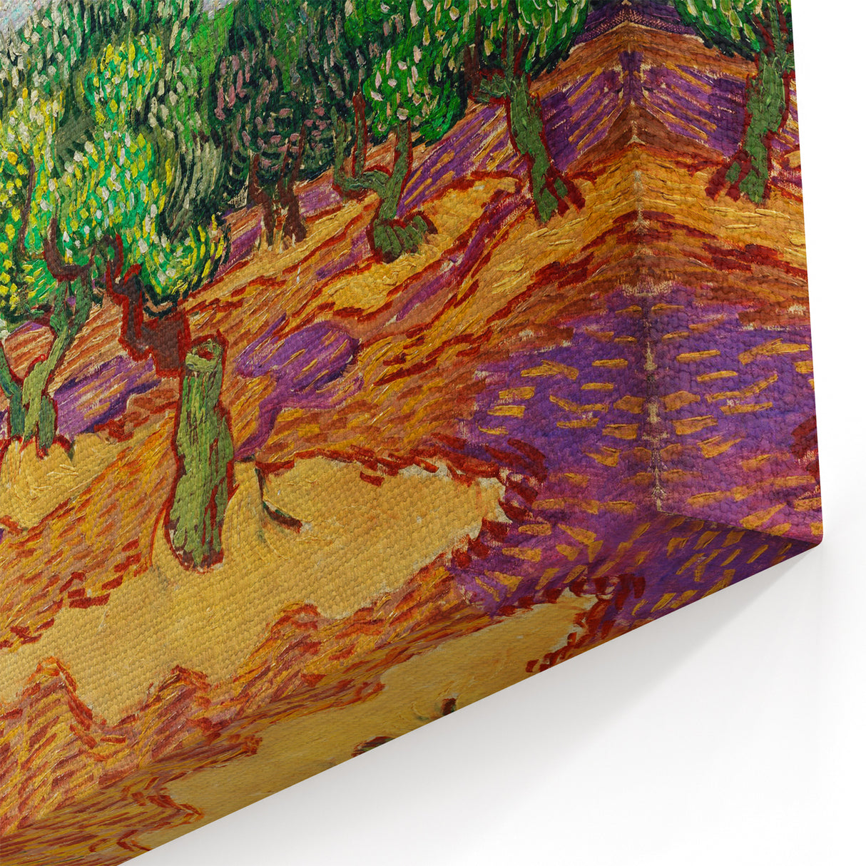 Van Gogh Olive Trees - Vibrant Impressionist Wall Art Canvas Print