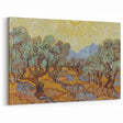 Van Gogh Olive Trees Under Sun - Impressionist Wall Art Print