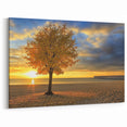 Golden Autumn Tree Wall Art - Sunset Beach Scene with Vibrant Sky