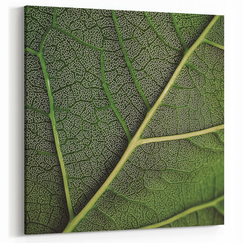 Detailed Green Leaf Wall Art – Botanical Nature Close-Up