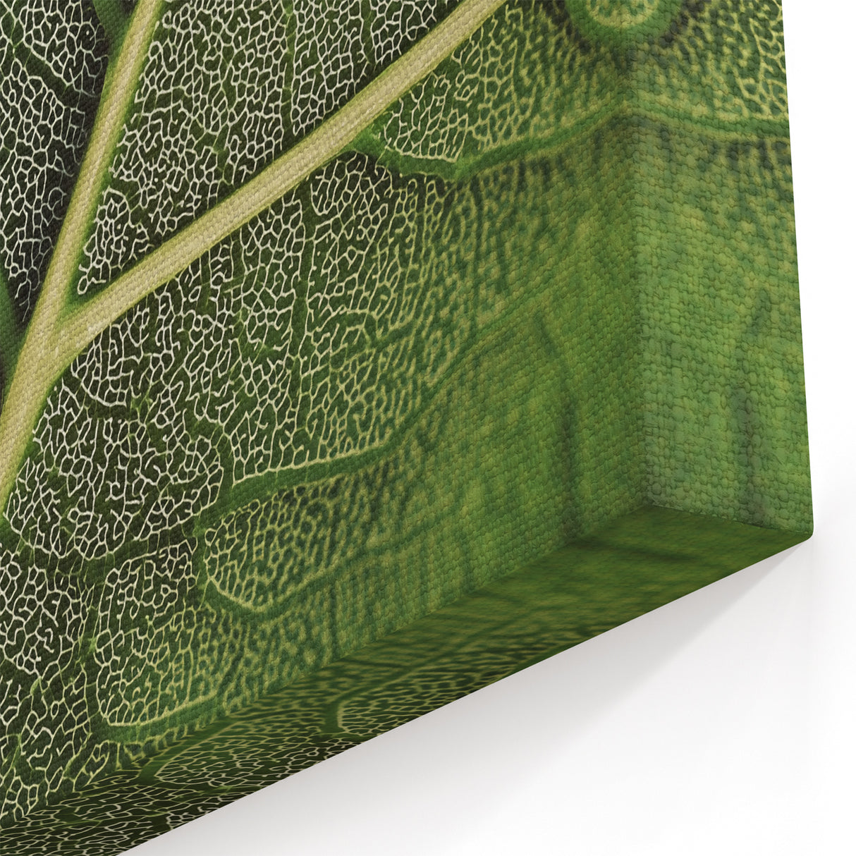 Detailed Green Leaf Wall Art – Botanical Nature Close-Up