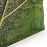 Detailed Green Leaf Wall Art – Botanical Nature Close-Up