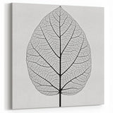 Minimalist Black and White Leaf Wall Art – Botanical Line Design