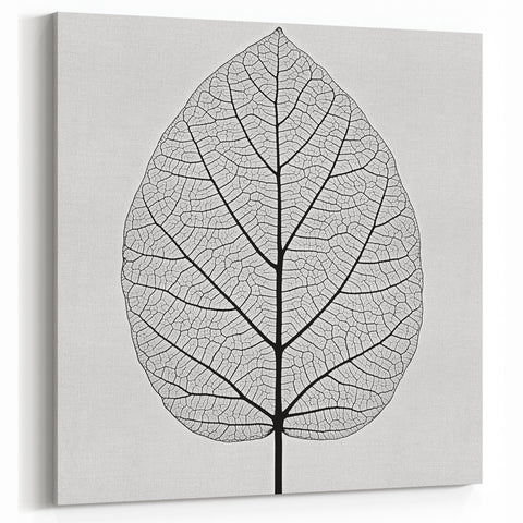 Minimalist Black and White Leaf Wall Art – Botanical Line Design