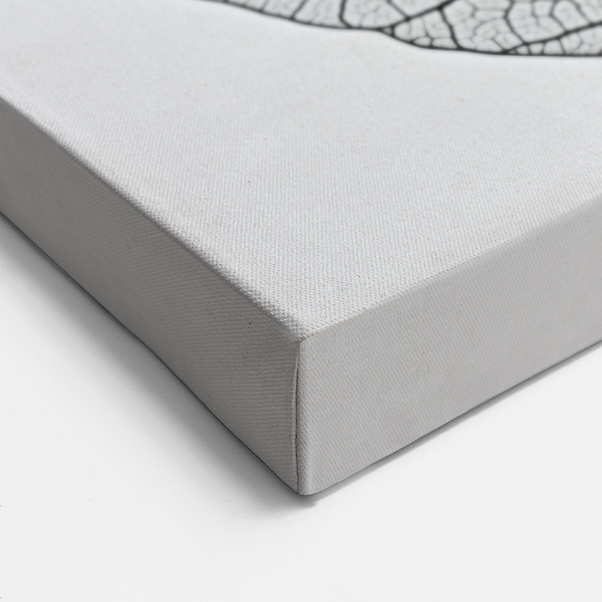 Minimalist Black and White Leaf Wall Art – Botanical Line Design