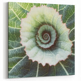 Spiral Leaf Wall Art – Unique Botanical Nature Close-Up