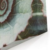 Spiral Leaf Wall Art – Unique Botanical Nature Close-Up