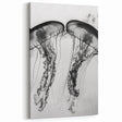 Scenic Water Wall Art - Black and White Jellyfish Close Up