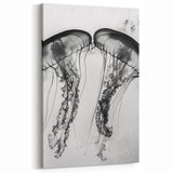 Scenic Water Wall Art - Black and White Jellyfish Close Up