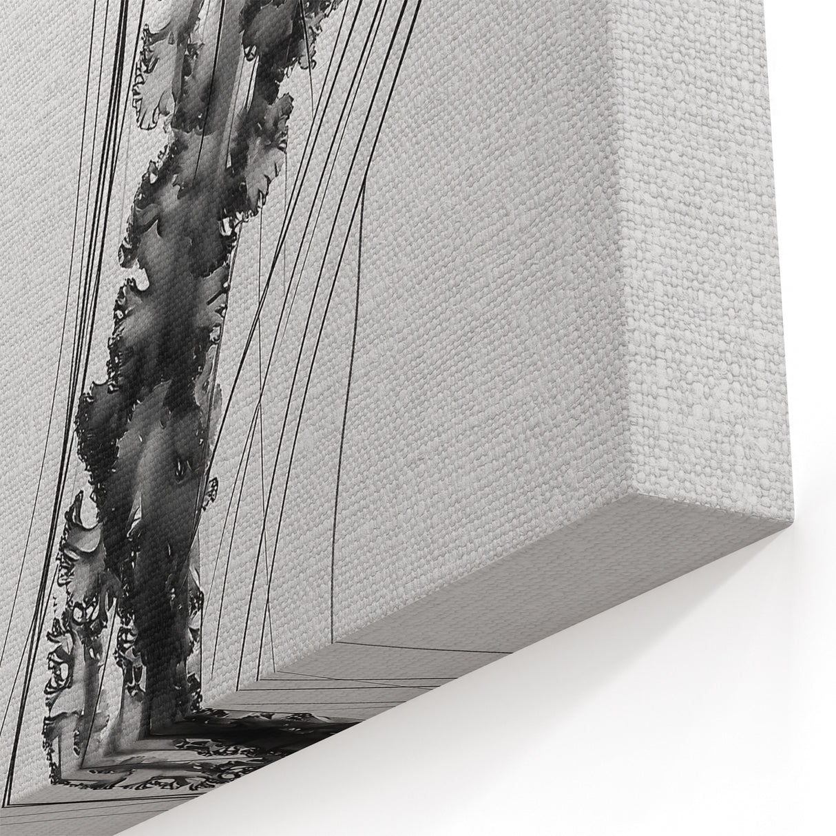 Scenic Water Wall Art - Black and White Jellyfish Close Up